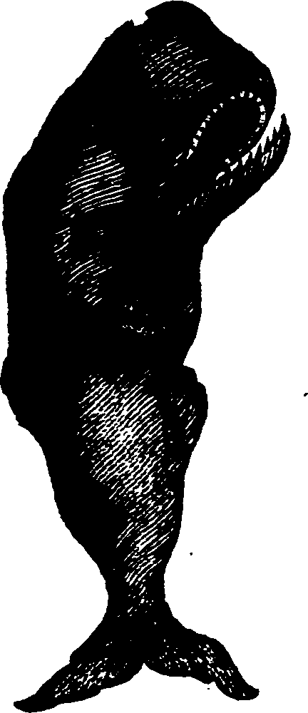 021/021910070300200_0.png