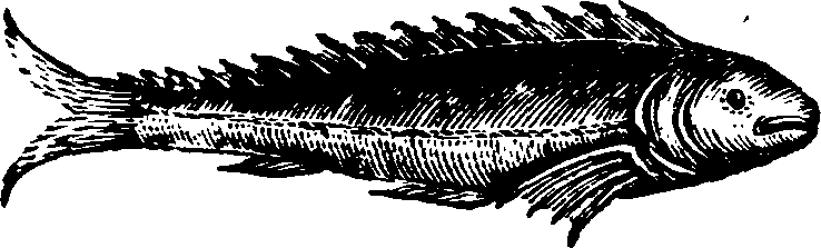021/021910070300340_0.png