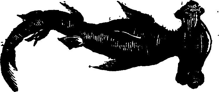 021/021910070300380_0.png