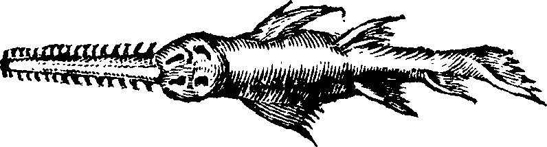 021/021910070300430_0.png