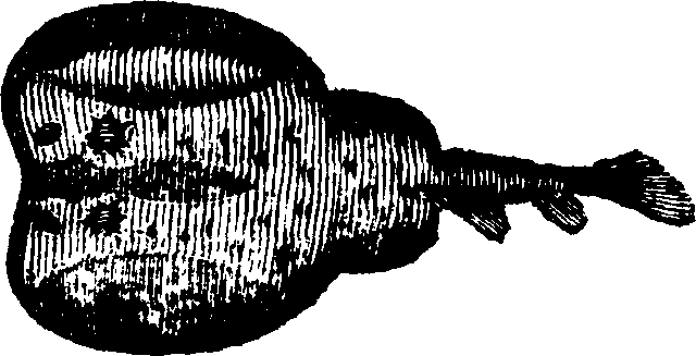 021/021910070300450_0.png