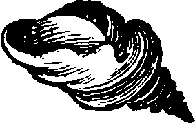 021/021910070300490_0.png