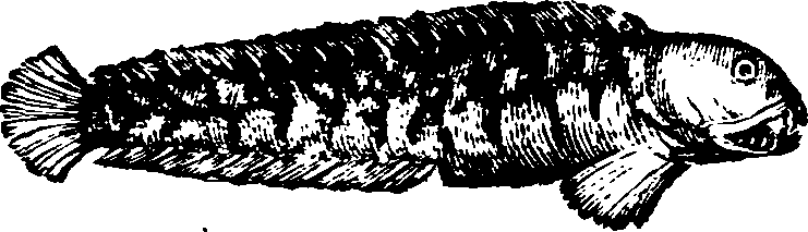 021/021910070300500_0.png