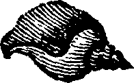 021/021910070300510_0.png