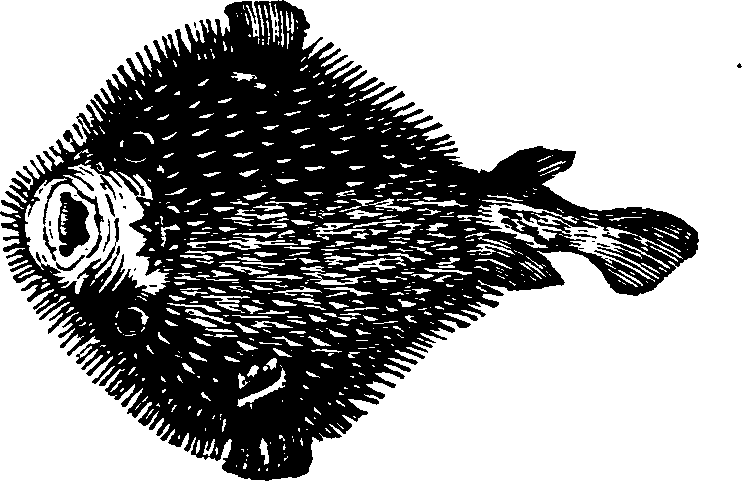 021/021910070300520_0.png