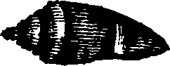 021/021910070300530_0.png