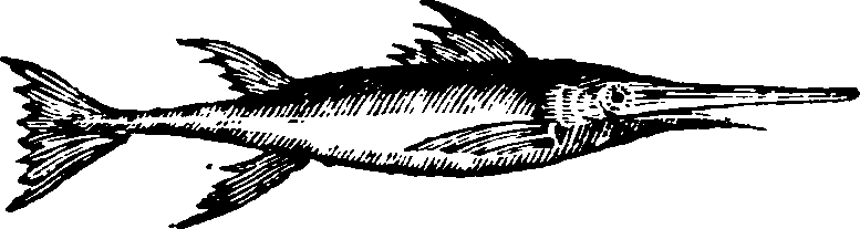 021/021910070300540_0.png