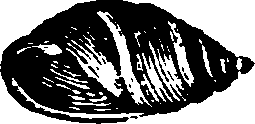 021/021910070300560_0.png