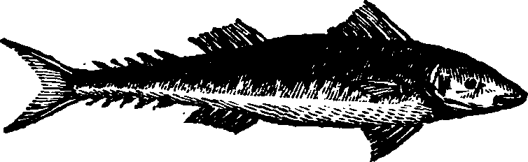 021/021910070300570_0.png