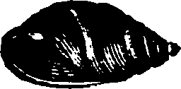 021/021910070300580_0.png