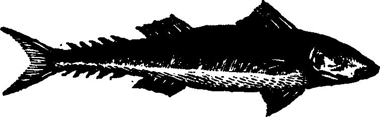 021/021910070300590_0.png