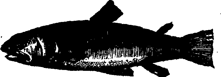 021/021910070300630_0.png