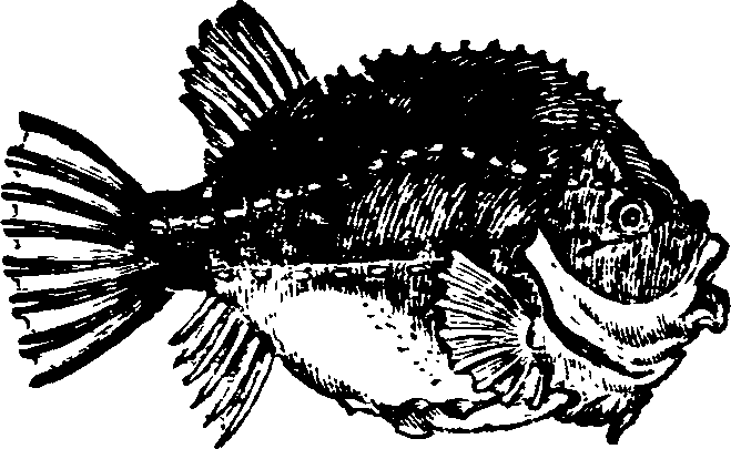 021/021910070300740_0.png