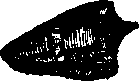 021/021910070300760_0.png