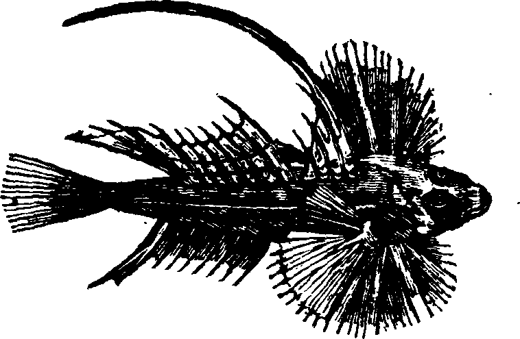 021/021910070300770_0.png