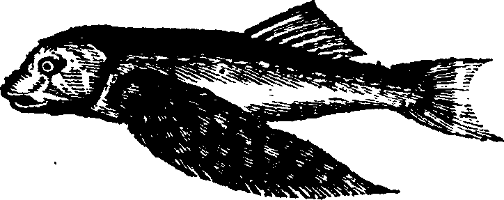 021/021910070300790_0.png