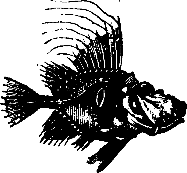 021/021910070300820_0.png