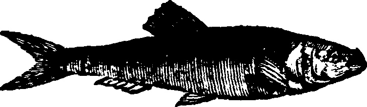 021/021910070300840_0.png
