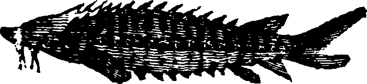 021/021910070300900_0.png