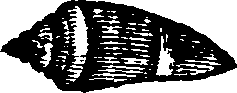 021/021910070300950_0.png