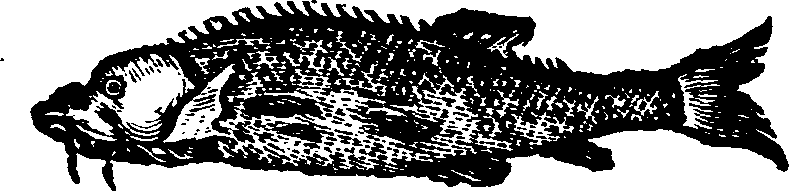 021/021910070300960_0.png