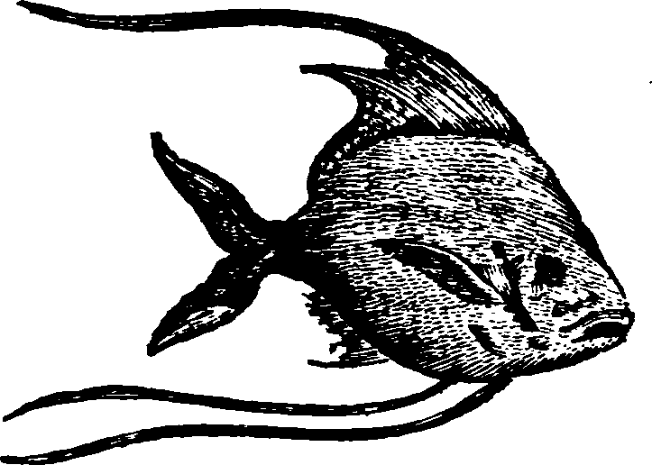 021/021910070300980_0.png