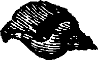 021/021910070301000_0.png