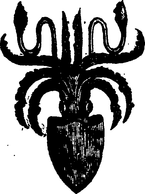 021/021910070301010_0.png