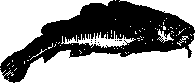 021/021910070301030_0.png