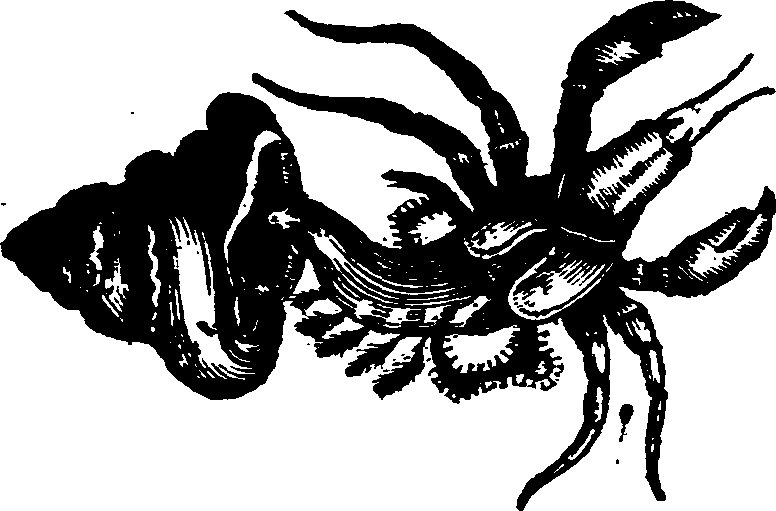 021/021910070301080_0.png