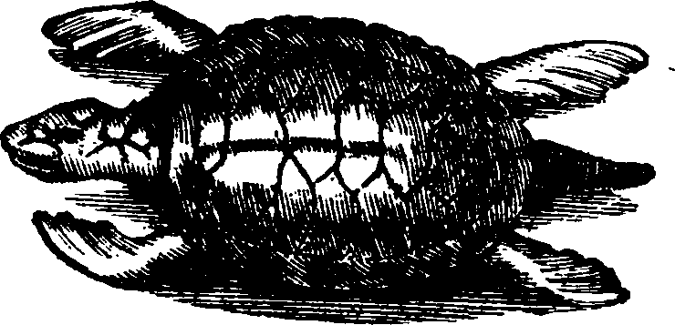 021/021910070301190_0.png