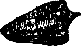 021/021910070301240_0.png