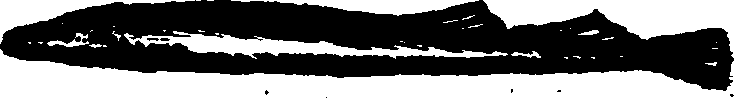 021/021910070301260_0.png
