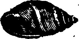 021/021910070301300_0.png