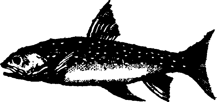 021/021910070301310_0.png