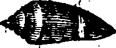 021/021910070301340_0.png