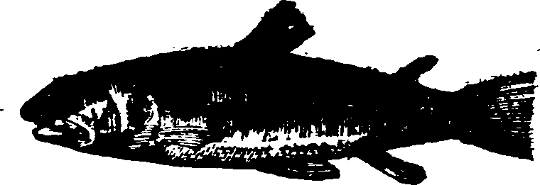 021/021910070301350_0.png
