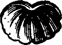 021/021910070301380_0.png