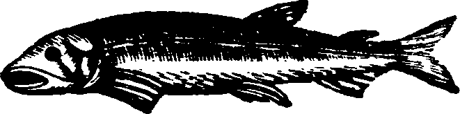 021/021910070301390_0.png