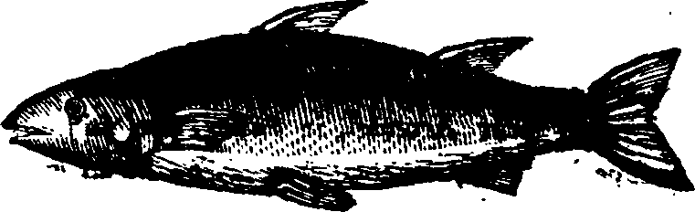 021/021910070301420_0.png