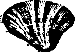 021/021910070301450_0.png