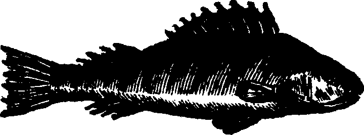 021/021910070301460_0.png