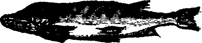 021/021910070301500_0.png