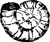 021/021910070301550_0.png