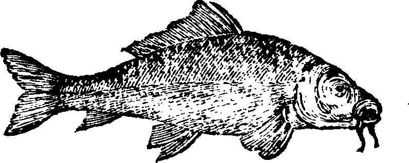 021/021910070301560_0.png