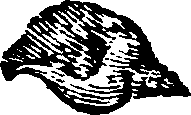 021/021910070301590_0.png