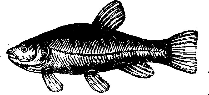 021/021910070301600_0.png