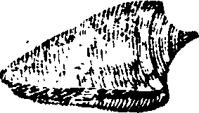 021/021910070301640_0.png