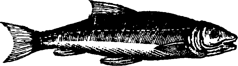 021/021910070301650_0.png