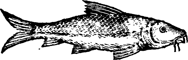 021/021910070301710_0.png